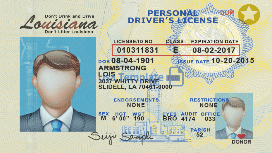 locate audit number on drivers license